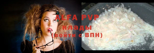 амф Володарск