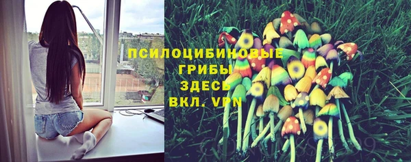 амф Володарск
