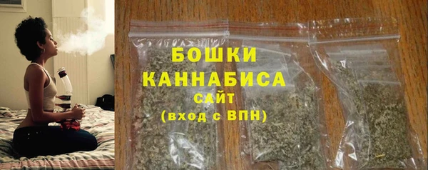 гидра Вяземский