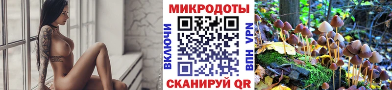 Купить закладки  Спас-Клепики  Псилоцибиновые грибы прущие грибы 